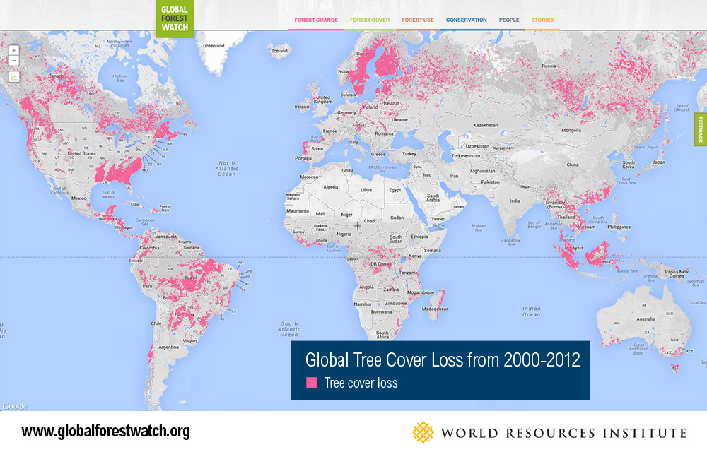 Global Forest Loss