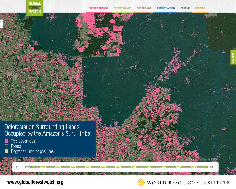 Map of Global Forest Watch in Brazil