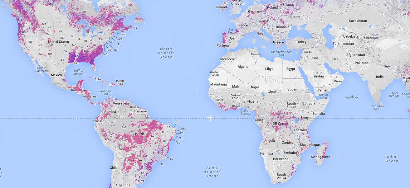 Global Forest Watch Map