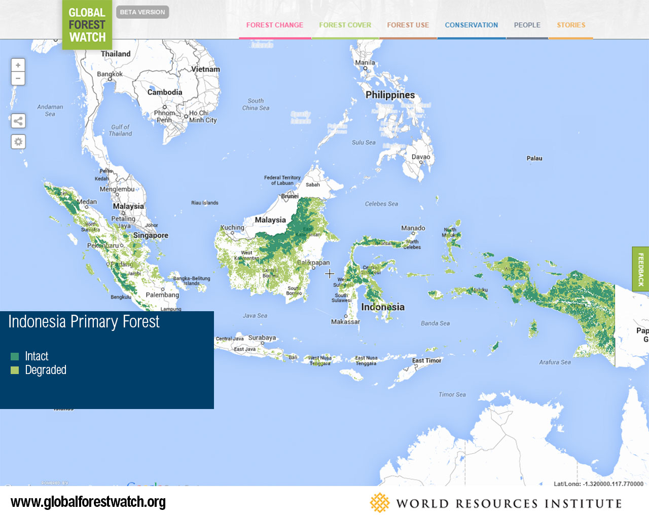 Indonesia Primary Forest