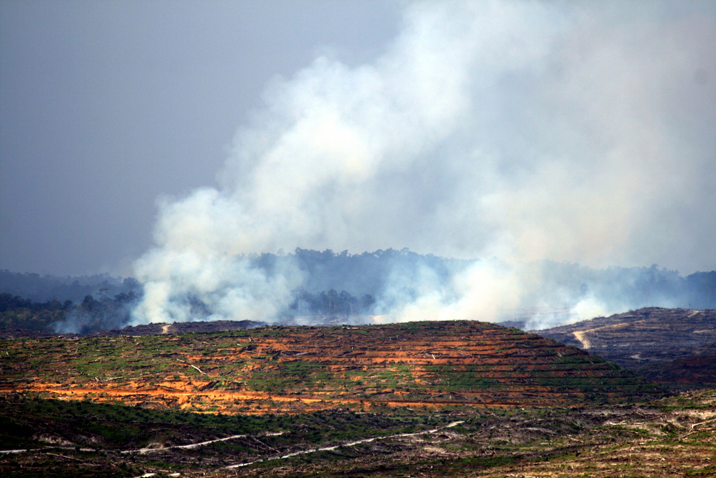 Kalimantan fire