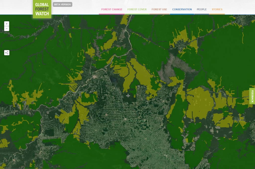 Tracking Your Forest Sustainability Efforts Is Now Affordable, Fast,  Accurate | Sustainable Brands