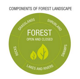 Intact Forest Landscapes Definition