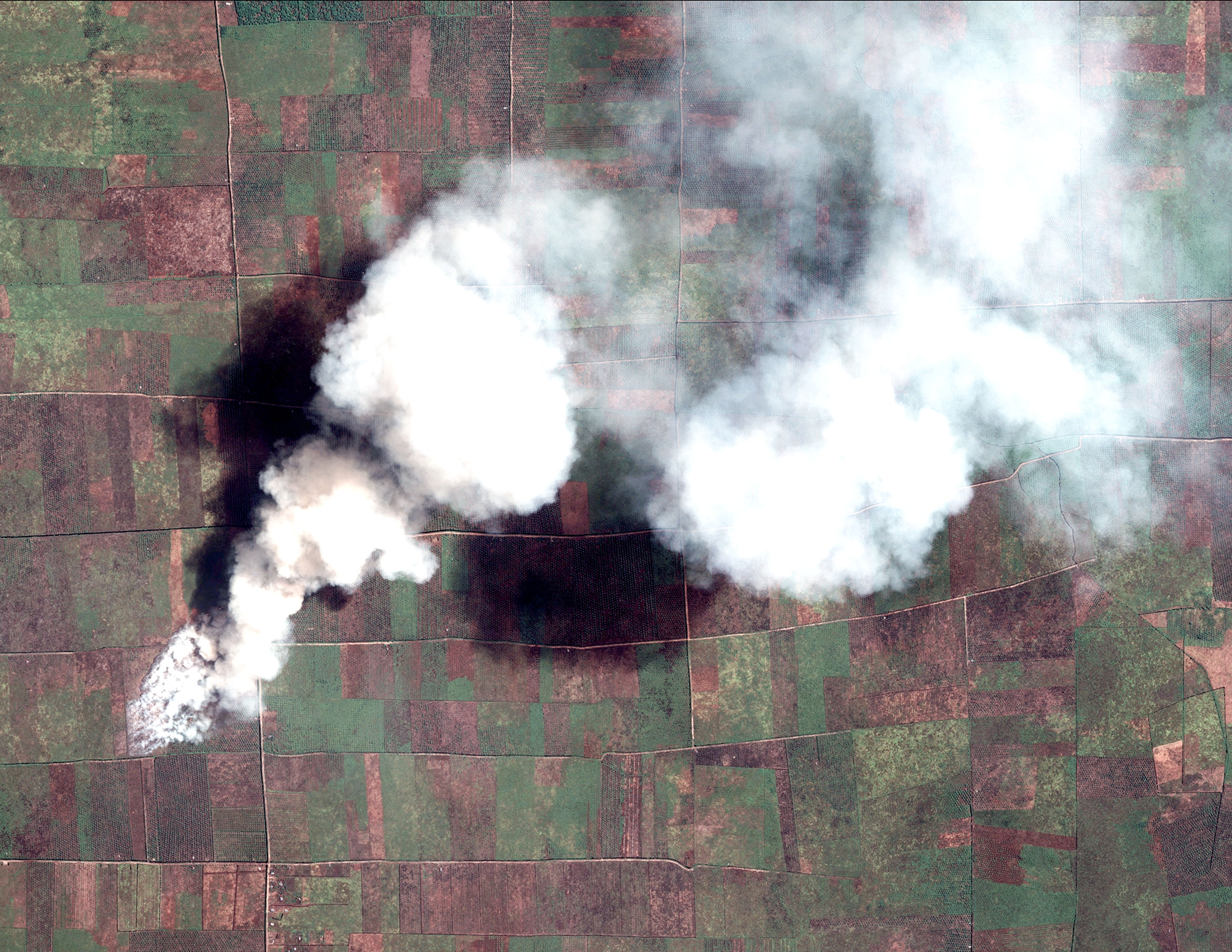Agricultural fire in Sumatra, Indonesia, made available through a partnership between Global Forest Watch Fires and Digital Globe.