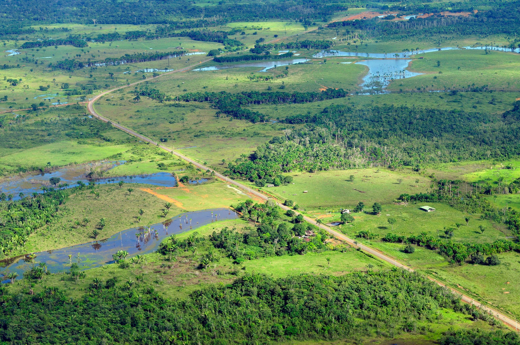 Amazon &#8211; Brazil, 2011.©Neil Palmer/CIAT