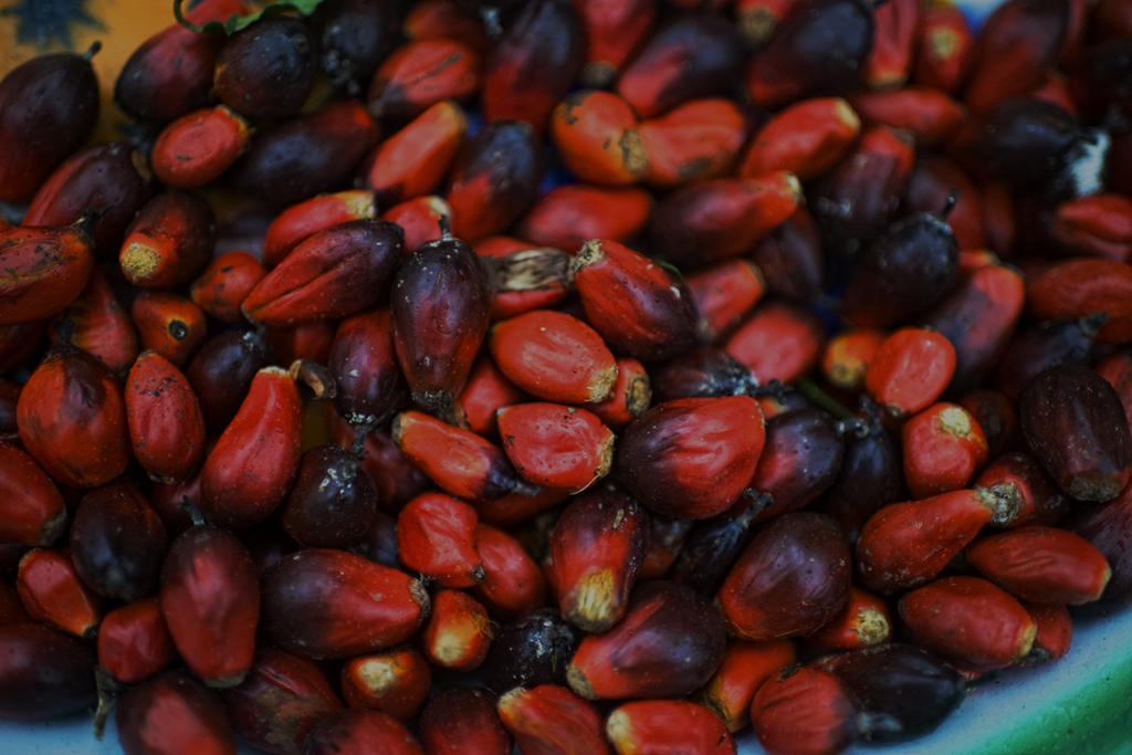 Palm Nuts