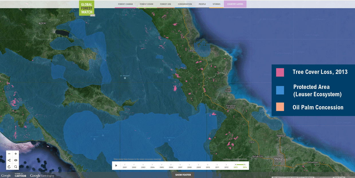 Oil Palm-Driven Forest Clearing in Leuser Ecosystem Detected by 2013 Data