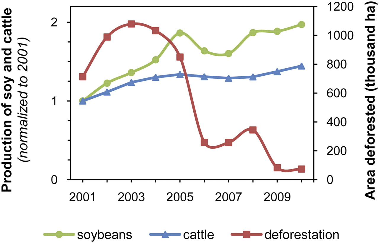 Brazil soy