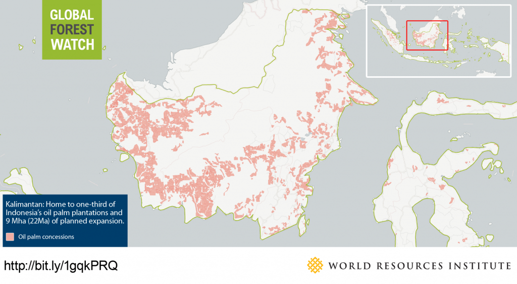 kalimantan-oil-palm