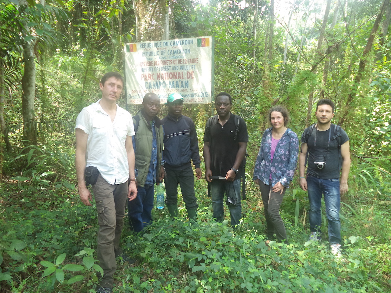 In Campo-Ma'an national park