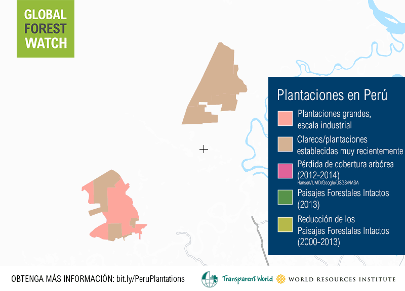 ESP_peru_plantation