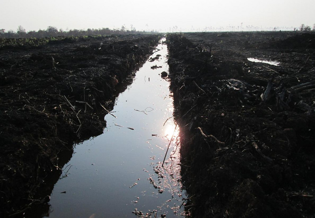 Peat draining