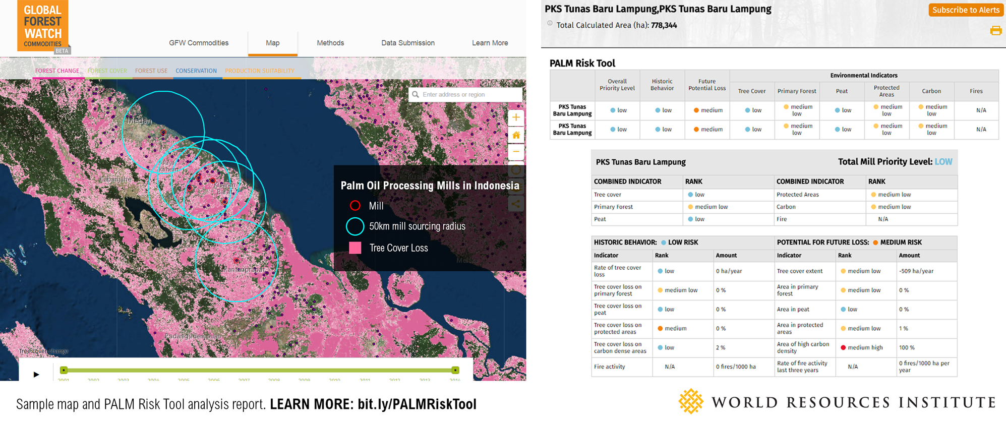 PALM-Sample-Map-and-Report