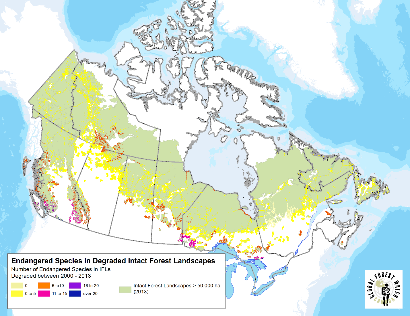 IFL degradation and species at risk.