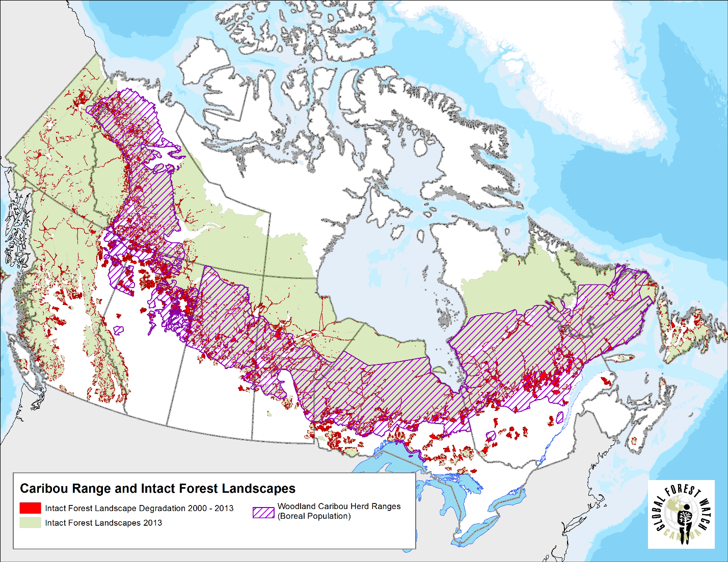IFL degradation and boreal woodland caribou ranges.