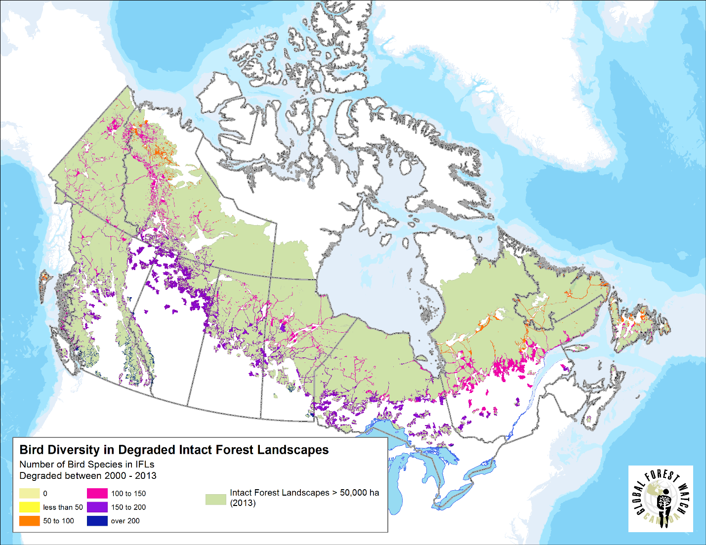 IFL degradation and bird diversity.