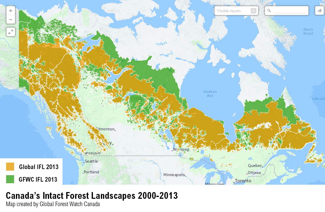 Forest Map Of Canada PARTNER POST: A Fresh Look at Canada's Virgin Forests | Global 