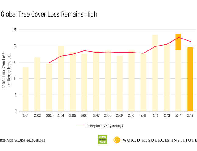 Global 2015 Tree Cover Loss