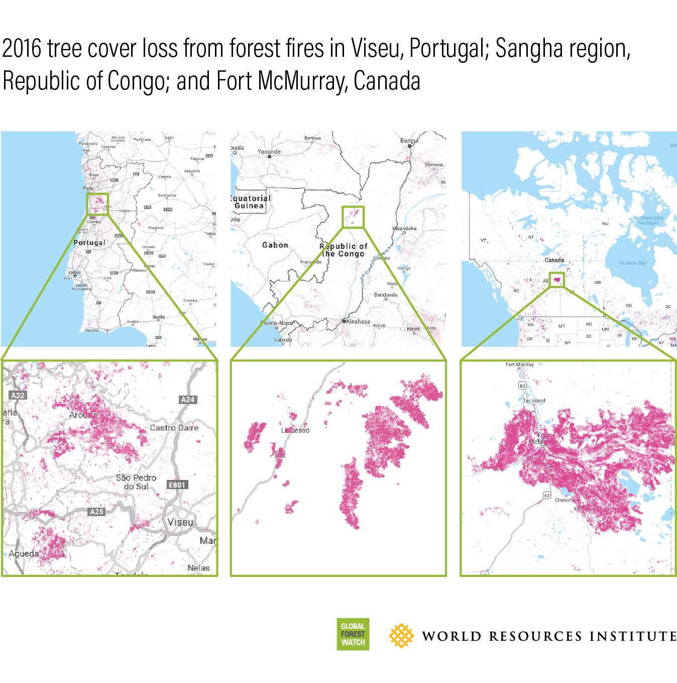 Global Forest Watch Tree cover loss 2016