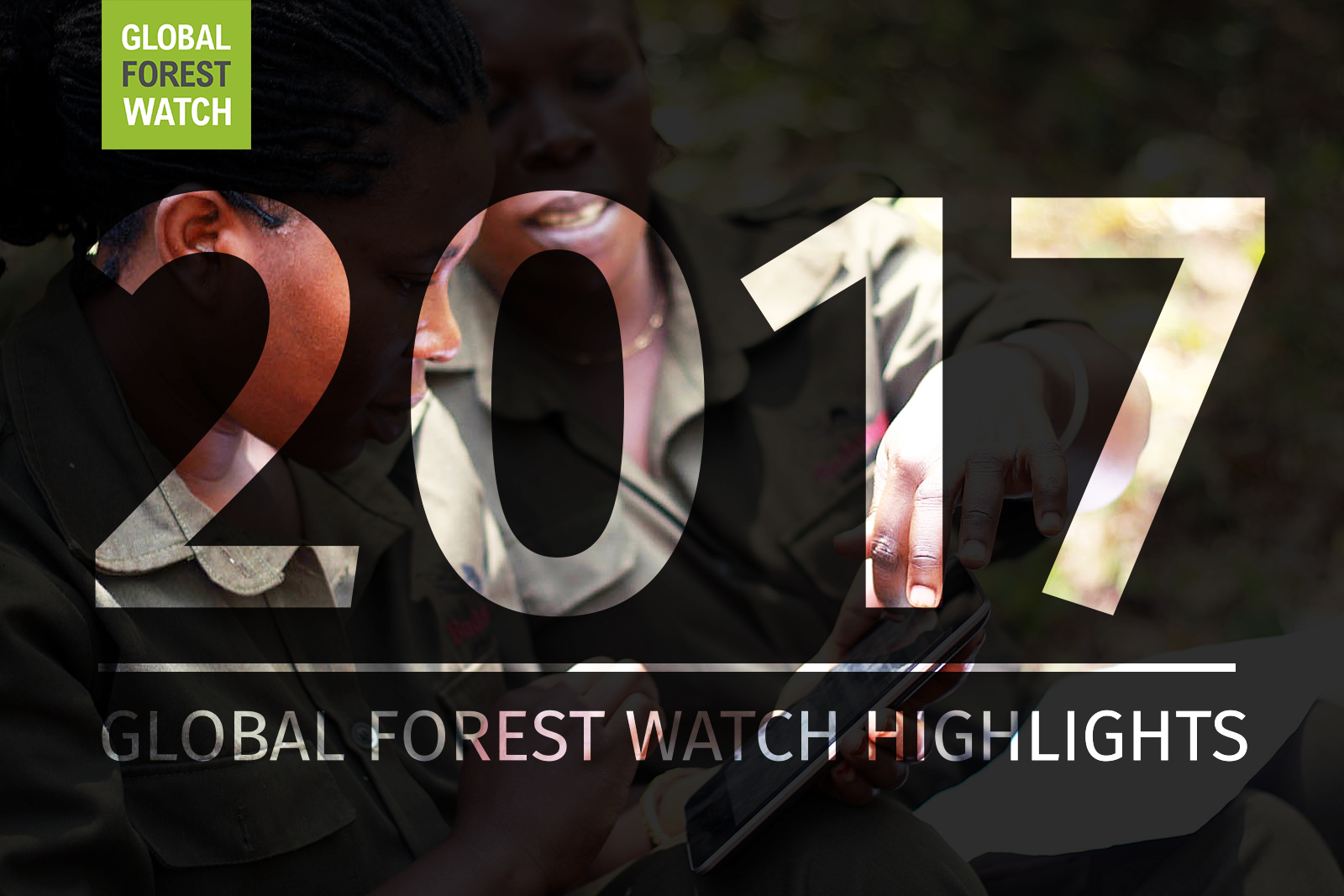 Global forest watch что это