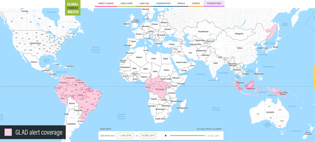 A Year In Review Global Forest Watch Highlights From 17 Global Forest Watch Blog