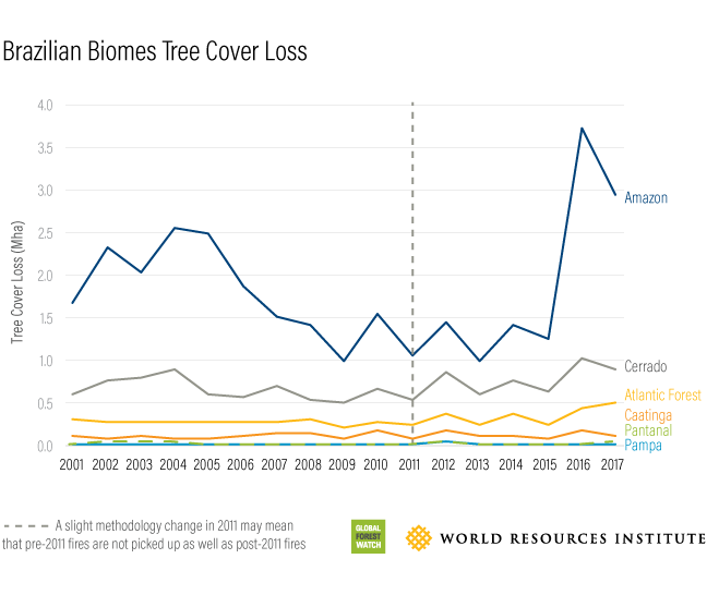 Global Forest Watch Brazilian Boimes Tree Cover Loss 2017