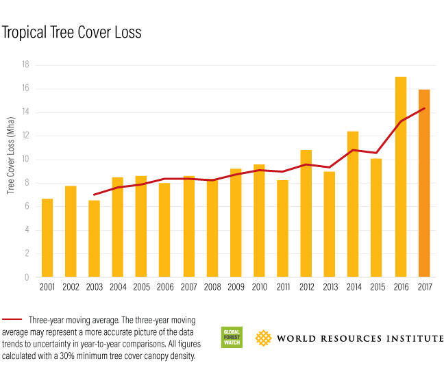 Global Forest Watch Tropical Tree Cover Loss 2017