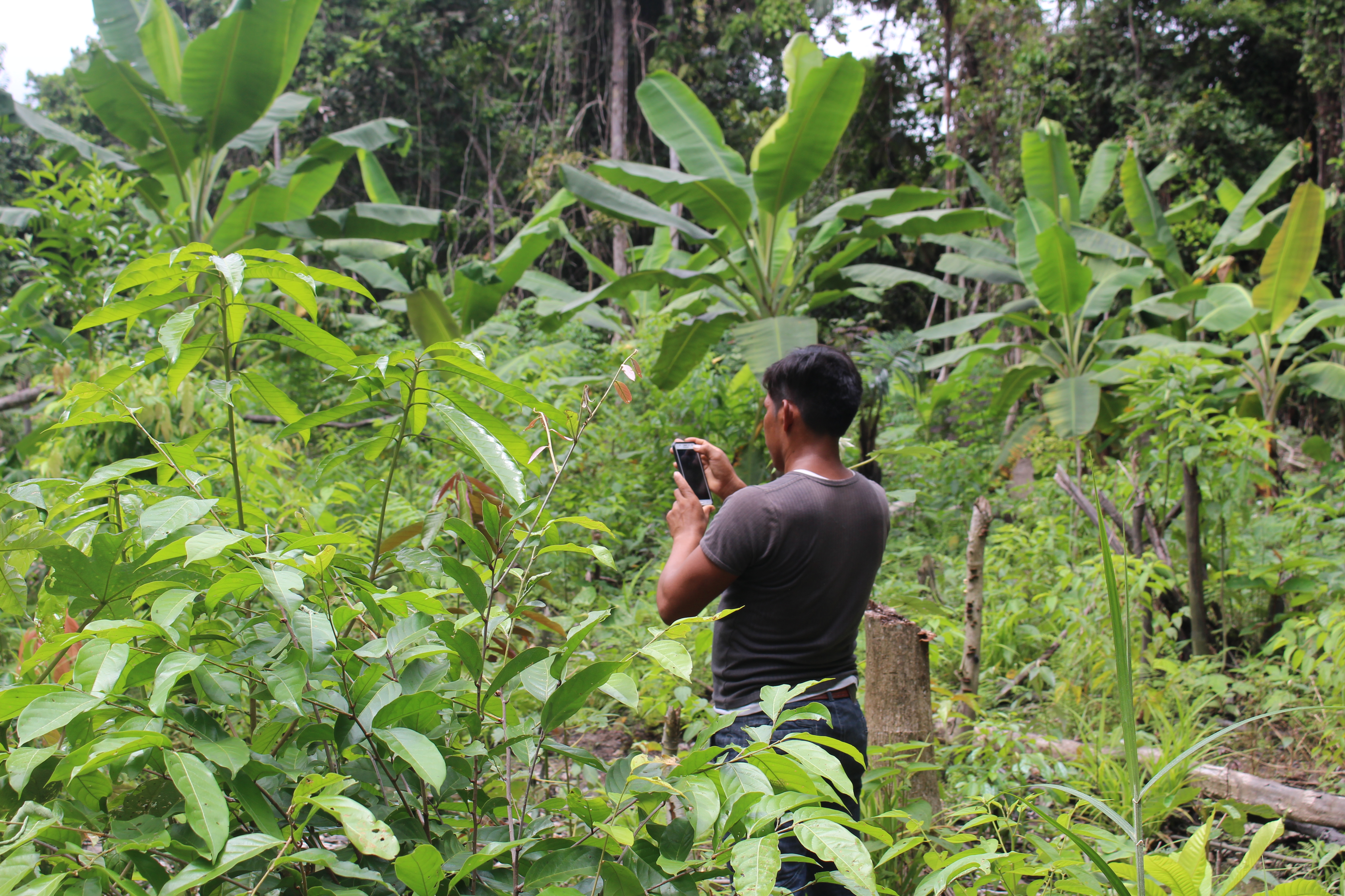 Smartphones and Satellite Imagery: Indigenous Communities’ Solution to