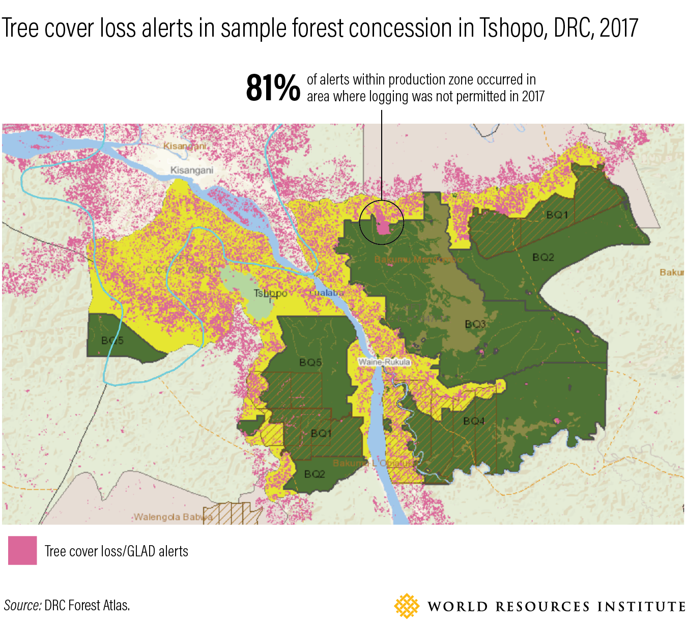 Puerto Rico Tree Cover Loss