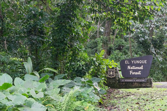 El_Yunque_National_Forest_sign_May_2017