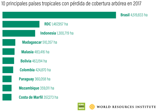 Top 10 Tropical Countries for Tree Cover Loss in 2017