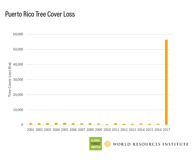 Puerto Rico Tree Cover Loss