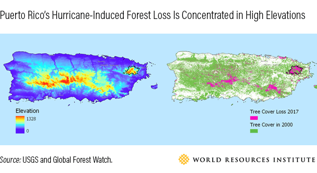 Puerto Rico's Hurricane Induced Forest Loss in High Elevation