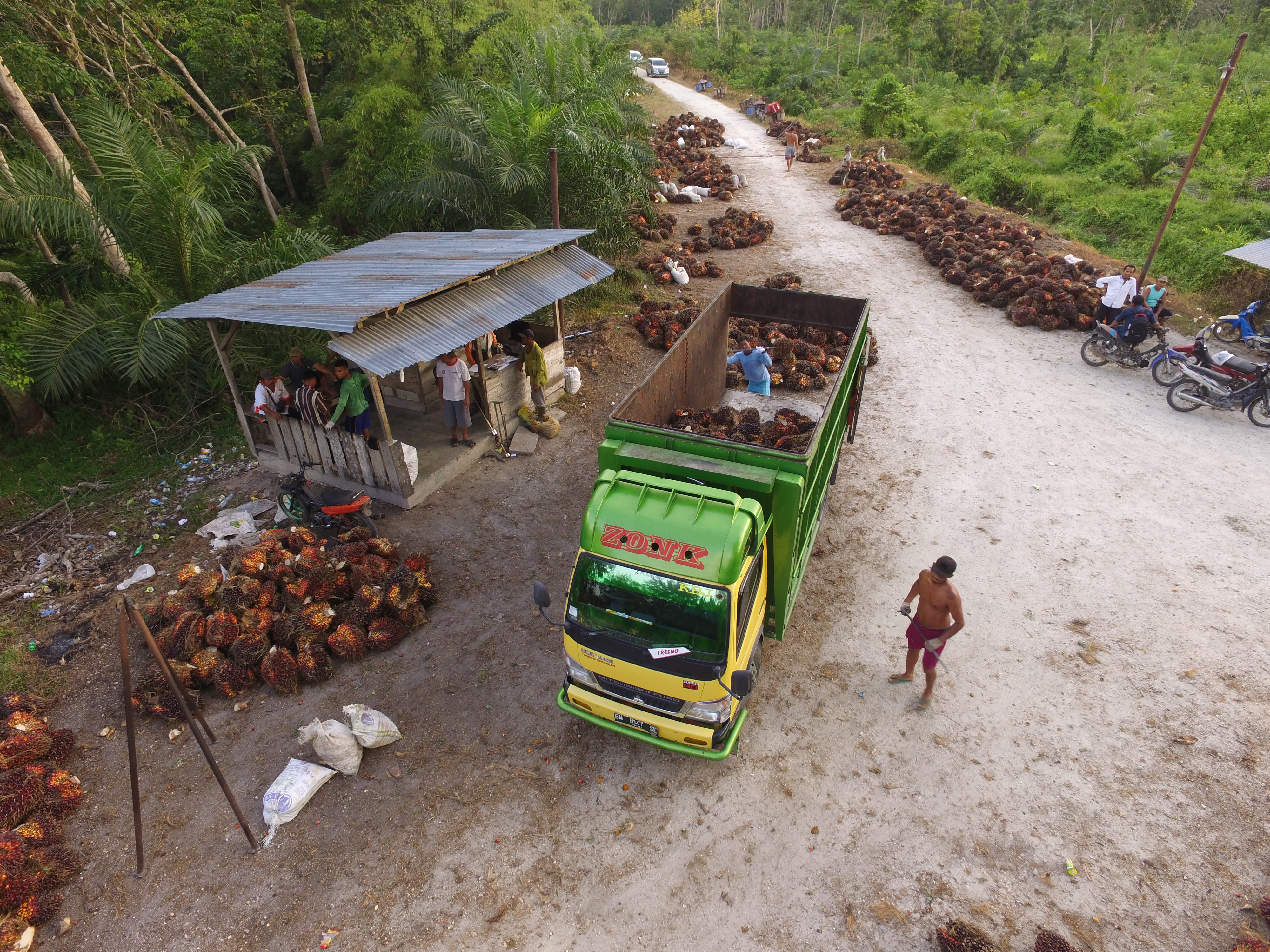 Palm oil mill