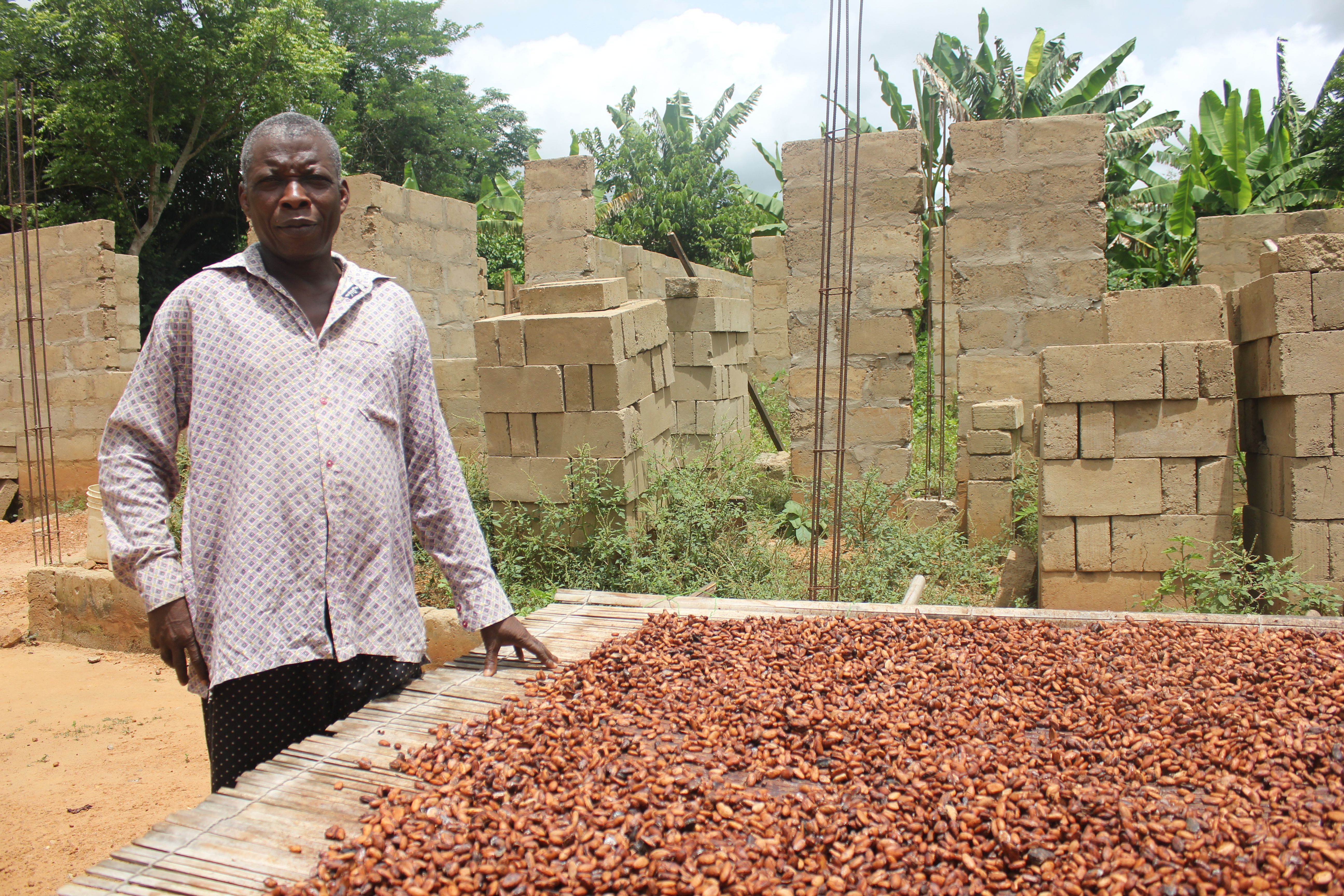 Cocoa Farmer