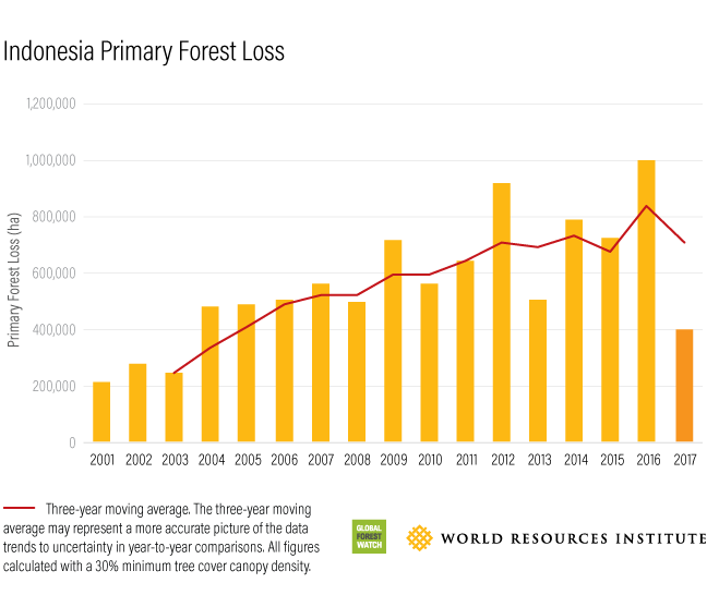 graph of forest loss in Indonesia