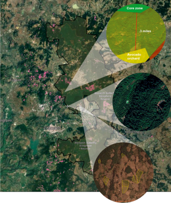 Map showing monarch reserve