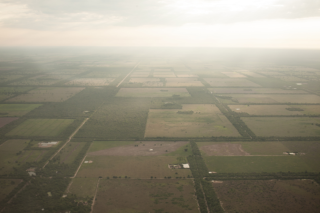 Protecting Paraguay s Ancestral Forests with Modern Tech Global