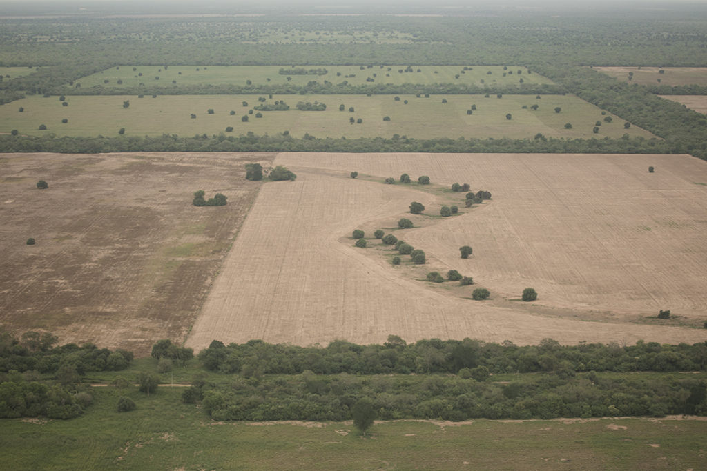 Land use and land cover in the Atlantic Forest biome, Brazil