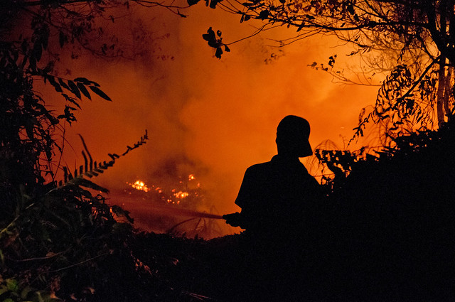 Night firefighters