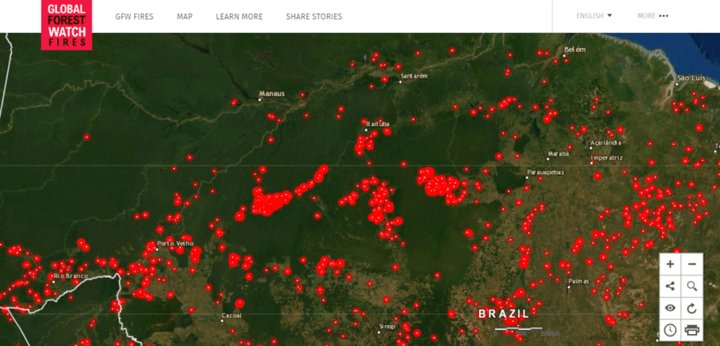 Fires Global Forest Watch Blog
