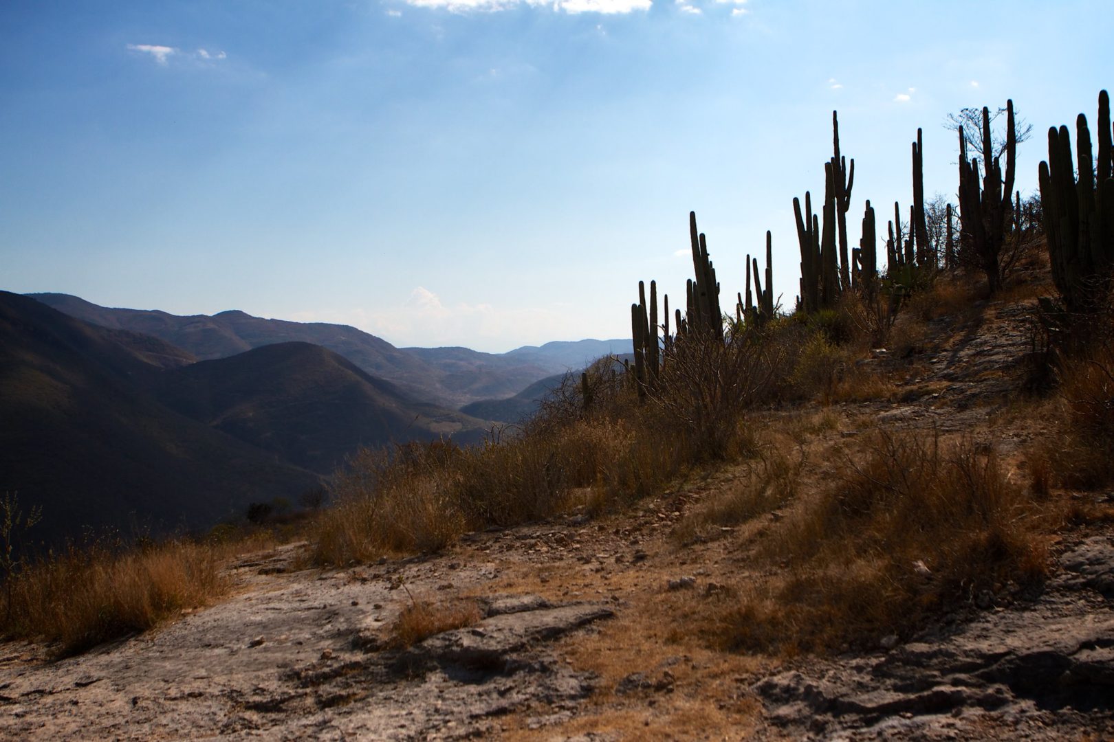 Mapa Oaxaca Platform Puts the Power of Data into the Hands of