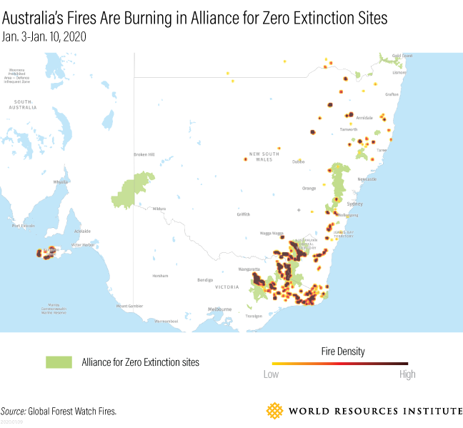 Aliance for zero extinction