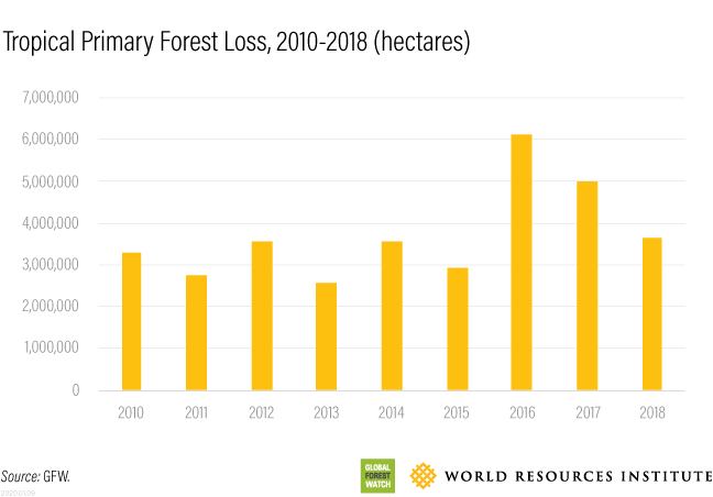 decade of forest loss