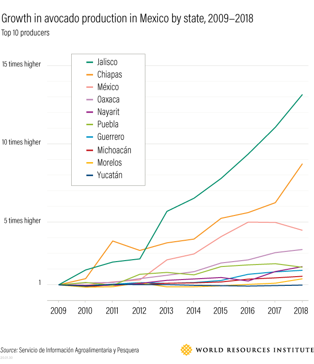 Avocado growth by state