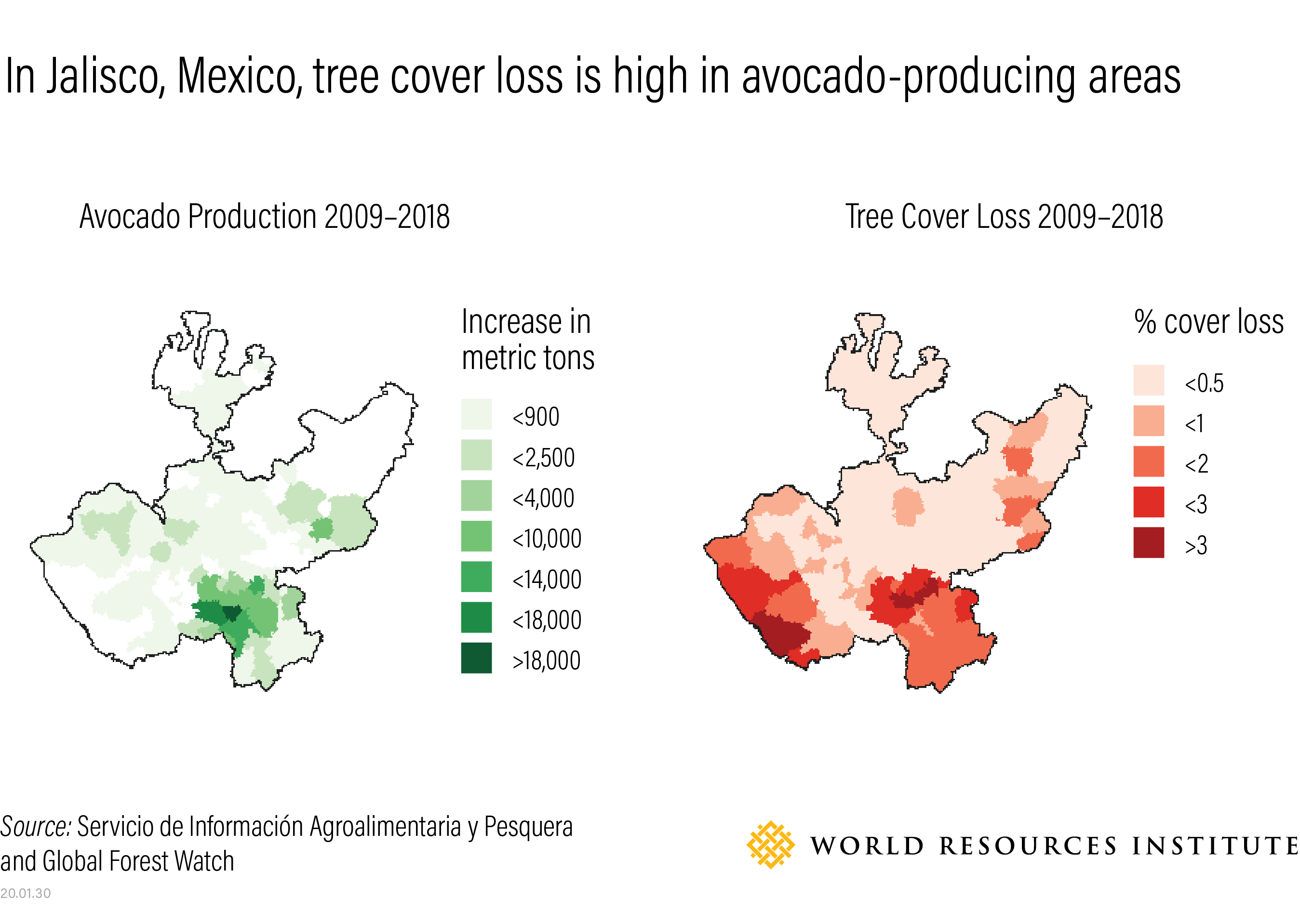 Tree cover loss and avocado production