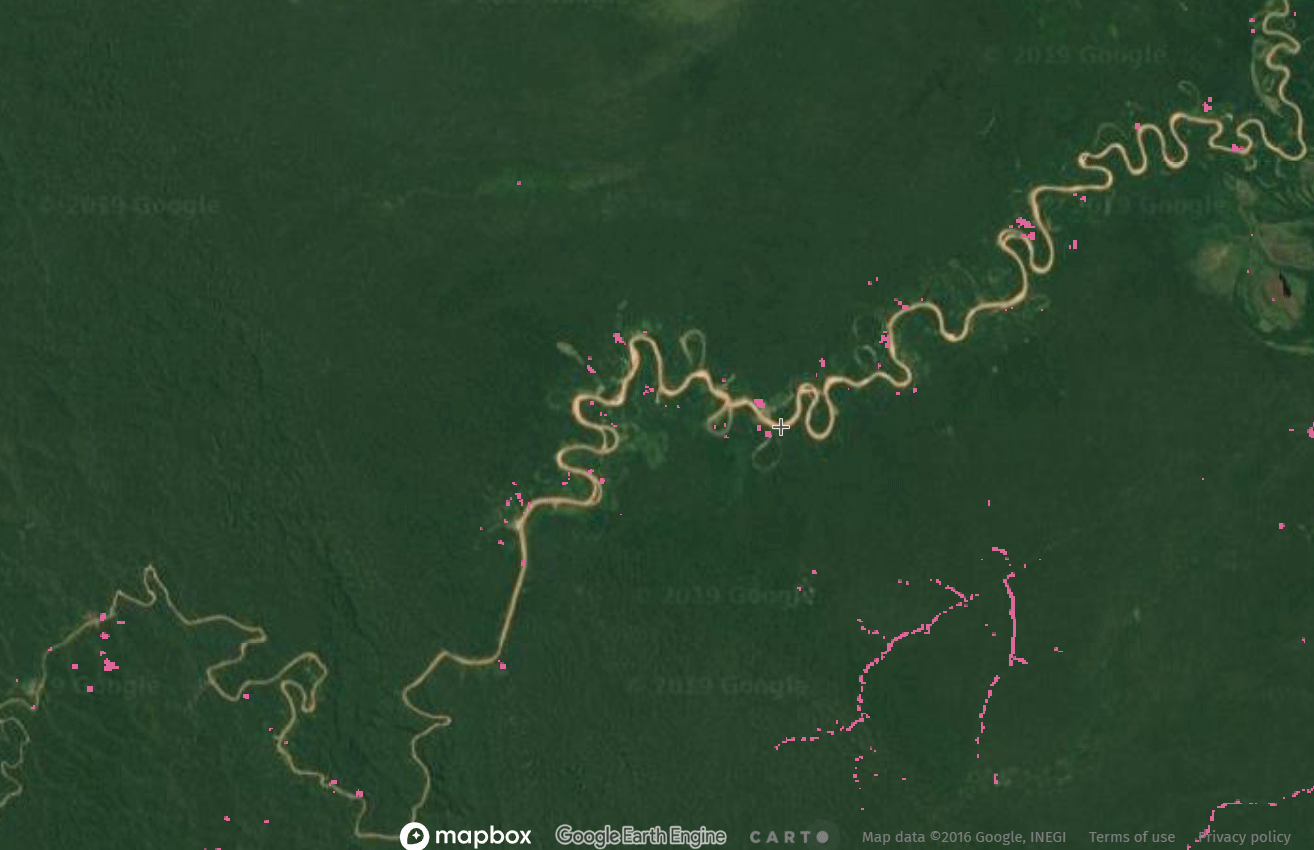 Logging roads cutting into Peruvian Amazon