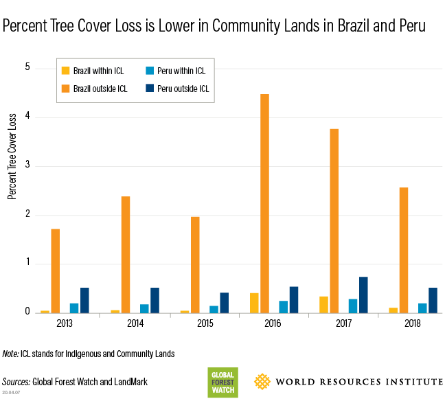 tree cover loss in Brazil and Peru Ingigenous lands