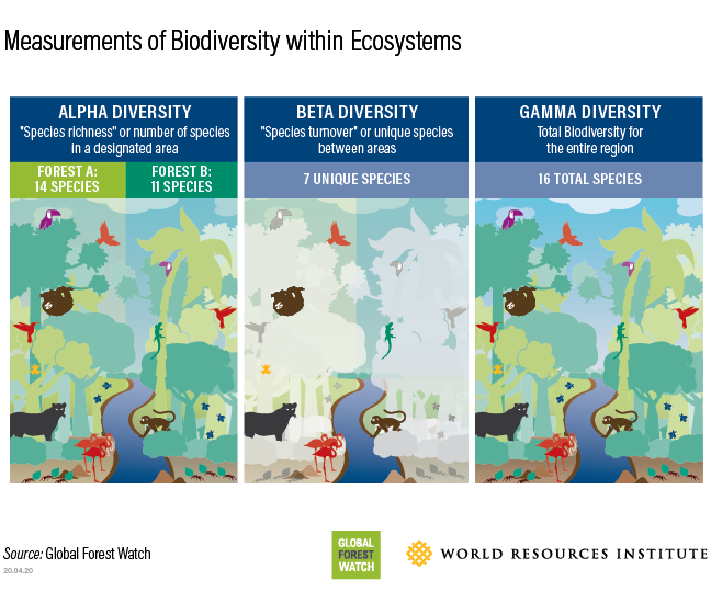 measurements of biodiversity 
