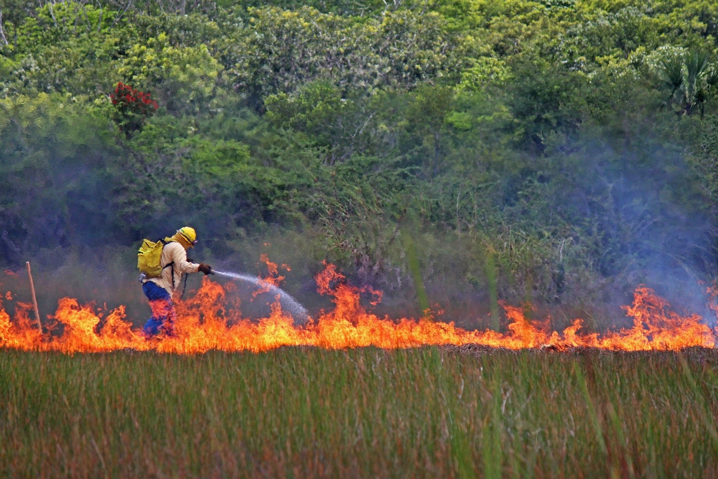 Incendios Yucatán